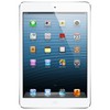 Apple iPad mini 16Gb Wi-Fi + Cellular белый - Касимов
