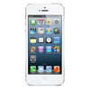 Apple iPhone 5 16Gb white - Касимов